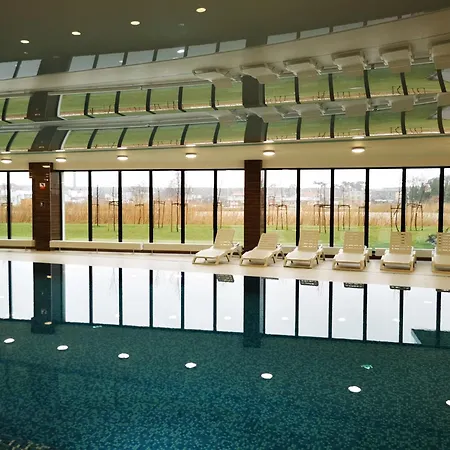 Apolonia I - * Дзивнув